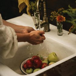 Hände, Waschbecken, Wasser, Obst, Blumen, Alltag